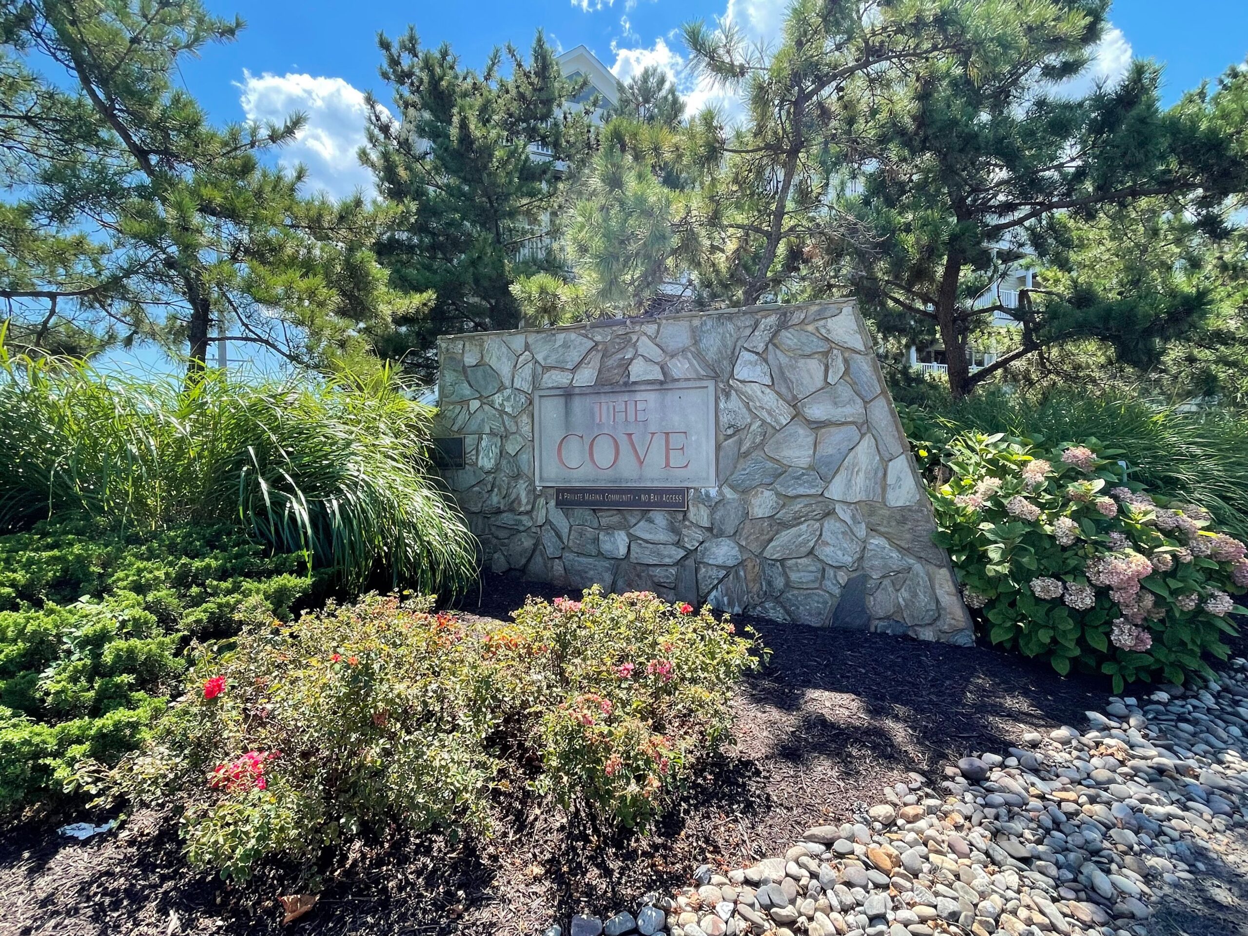 The Cove Sign The Cove Sign